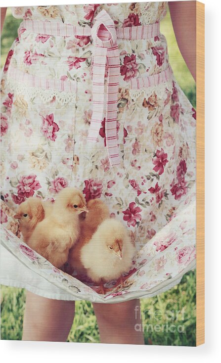 Chick Wood Print featuring the photograph Little Chicks by Stephanie Frey