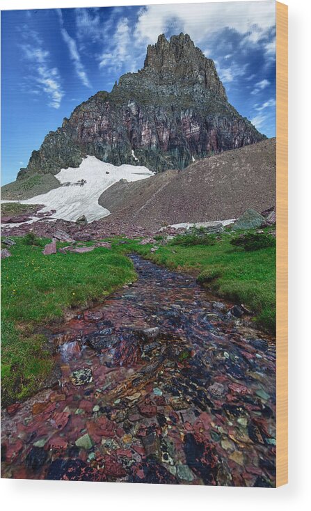 Blog Wood Print featuring the photograph Logan Pass View by David Buhler