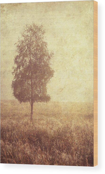 Scotland Wood Print featuring the photograph Lonely Tree. Trossachs National Park. Scotland by Jenny Rainbow