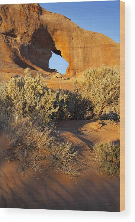 Desert Wood Print featuring the photograph Looking Glass by Mike McGlothlen