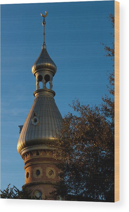 Architecture Wood Print featuring the photograph Minaret and Trees by Ed Gleichman