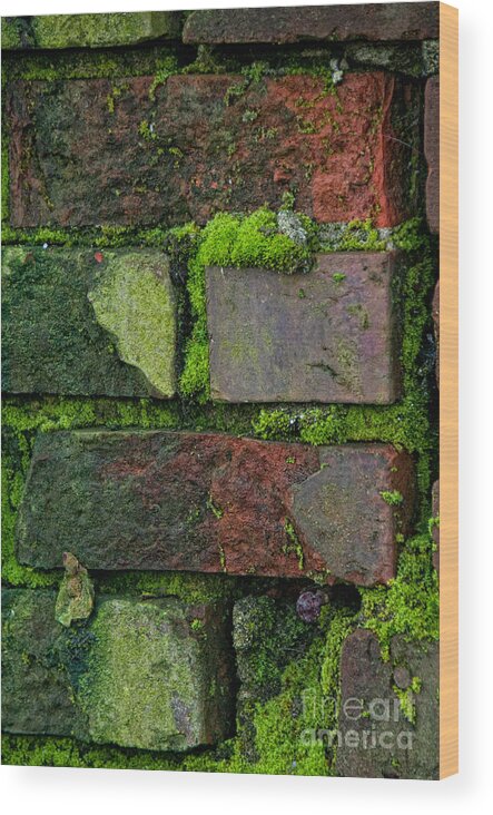 Canada Wood Print featuring the digital art Mossy Brick Wall by Carol Ailles