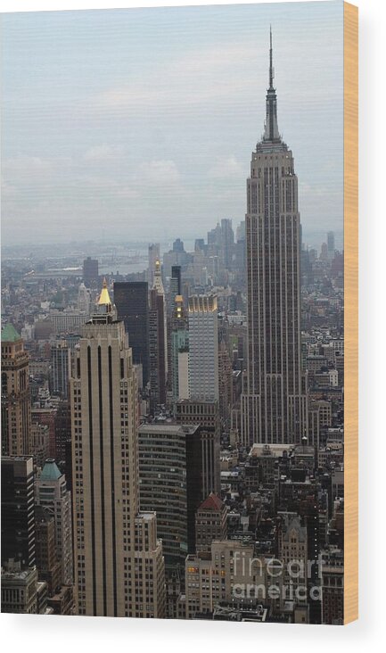 New York City Wood Print featuring the photograph New York City From The Top Of The Rock by Living Color Photography Lorraine Lynch