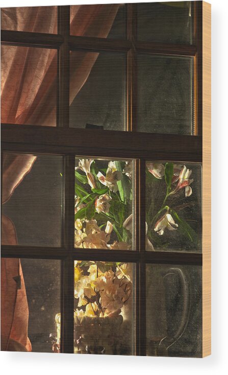 Flower Wood Print featuring the photograph Night Flowers by Rick Hartigan