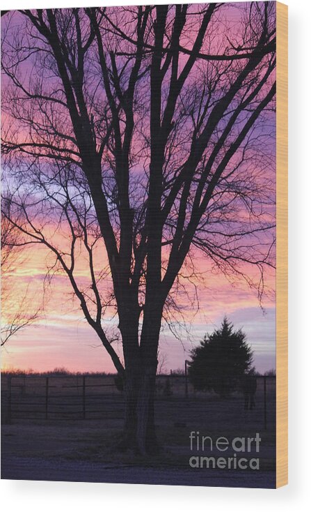 Sunset Wood Print featuring the photograph Oklahoma Sunset 2 by Sheri Simmons