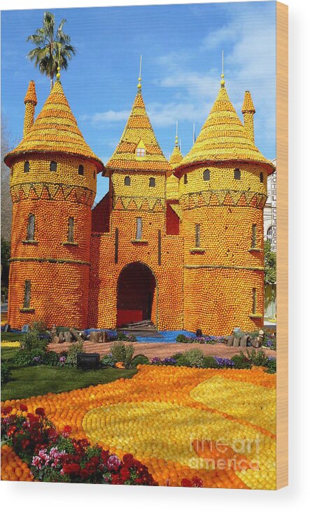 Travel Wood Print featuring the photograph Orange Castle by Anna Duyunova