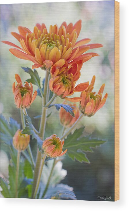 Autumn Wood Print featuring the photograph Orange Mums by Heidi Smith