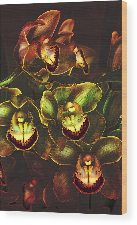 Flowers Wood Print featuring the photograph Orchid Hype by Bill and Linda Tiepelman