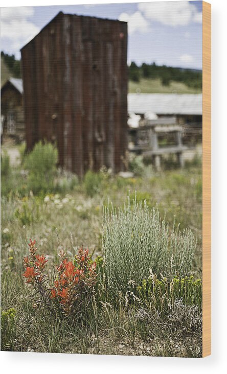 Abandoned Wood Print featuring the photograph Outhouse Path by Melany Sarafis