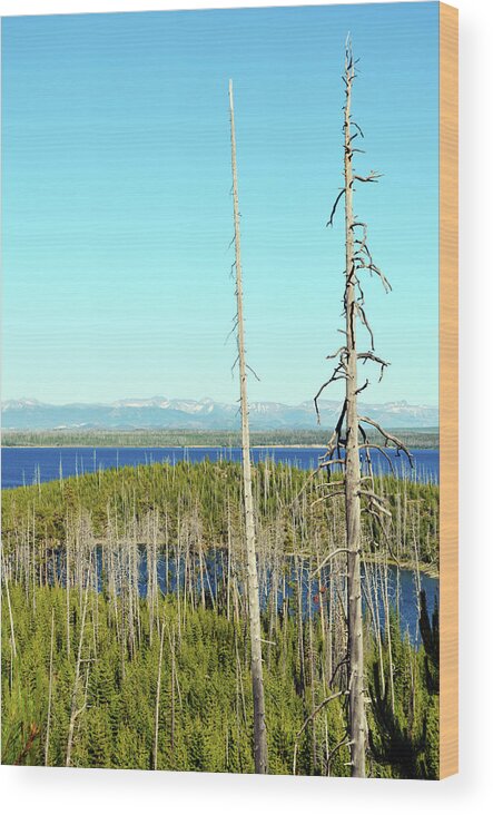 Nature Wood Print featuring the photograph Overlooking the West by La Dolce Vita