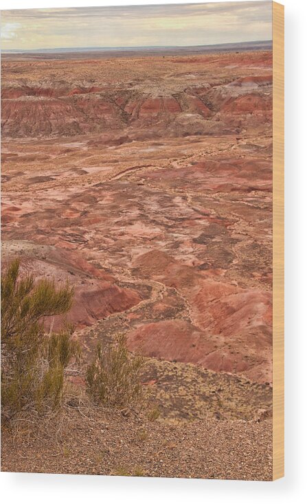 Painted Desert Wood Print featuring the photograph Painted Desert 12 by Susan OBrien