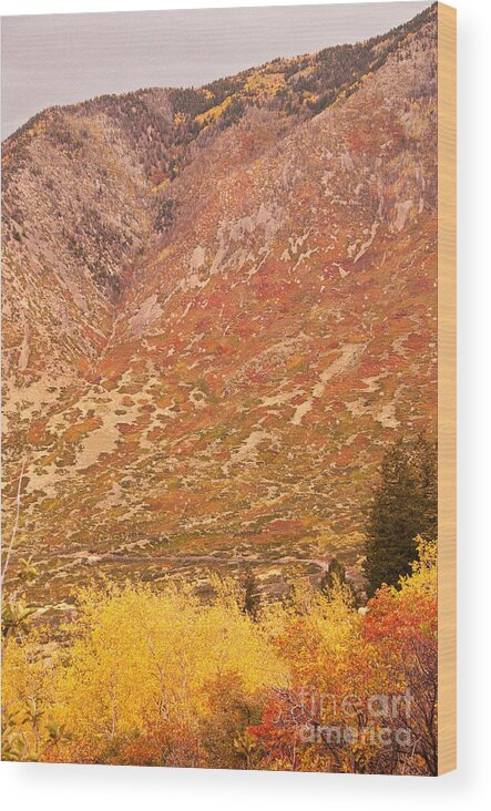 Photograph Wood Print featuring the photograph Painted Mountain by Bob and Nancy Kendrick