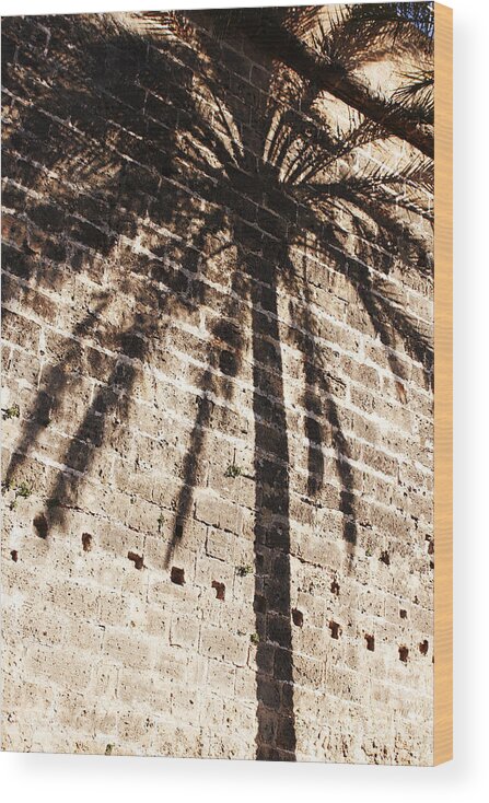 Palmera Wood Print featuring the photograph Palm shadow by Agusti Pardo Rossello