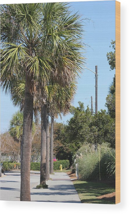 Landscape Wood Print featuring the photograph Palm Way by Static Studios