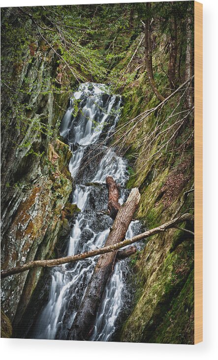 Landscapes Wood Print featuring the photograph Parker Falls by Fred LeBlanc