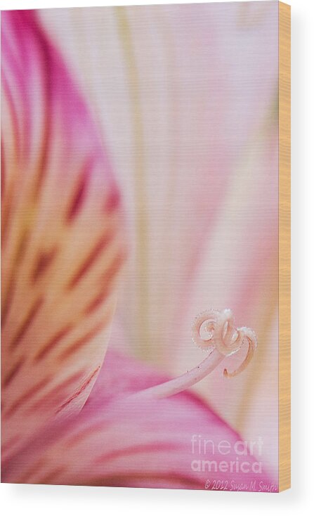 Flower Wood Print featuring the photograph Peek by Susan Smith