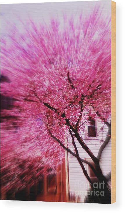 Pink Wood Print featuring the photograph Pink Beauty by Christy Beal