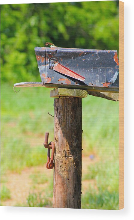 Mailbox Wood Print featuring the photograph Po Monkey's Po Mailbox by Karen Wagner