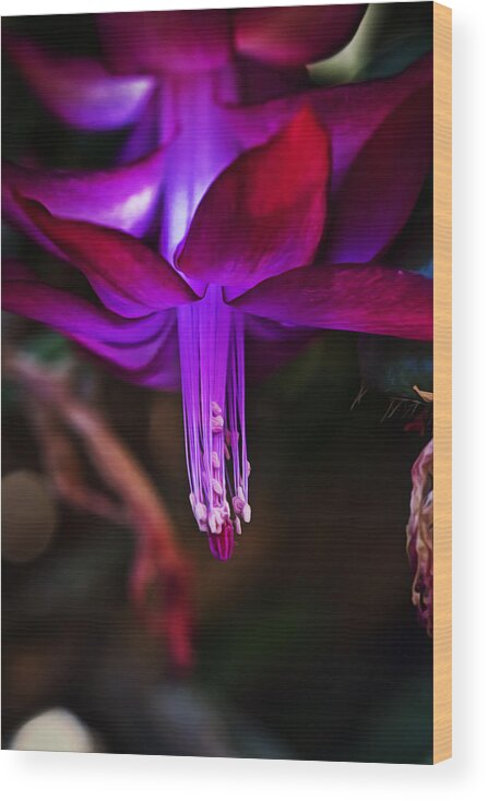 Violet Wood Print featuring the photograph Pretty In Pink by Linda Tiepelman