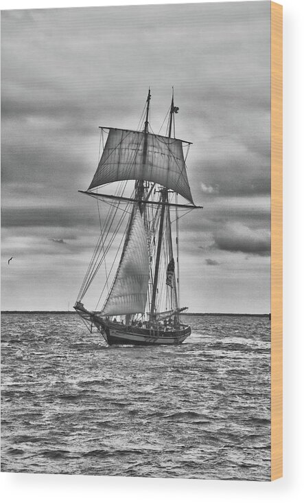 Boats Wood Print featuring the photograph Pride of Baltimore II 5991 by Guy Whiteley