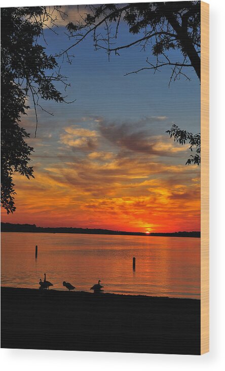 Sunrise Wood Print featuring the photograph Quiet Morning by Rusty Enderle