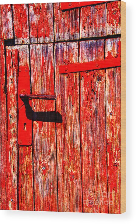 Iceland History Turf Farms Wood Print featuring the photograph Red Door by Rick Bragan