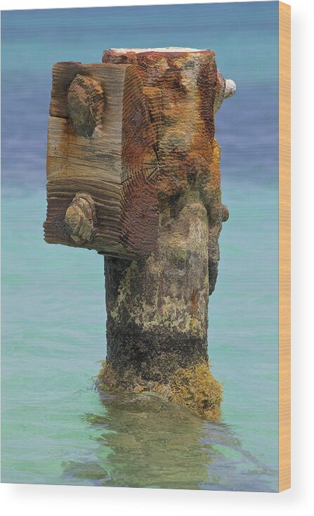 Aruba Wood Print featuring the photograph Rusted Dock Pier of the Caribbean IV by David Letts