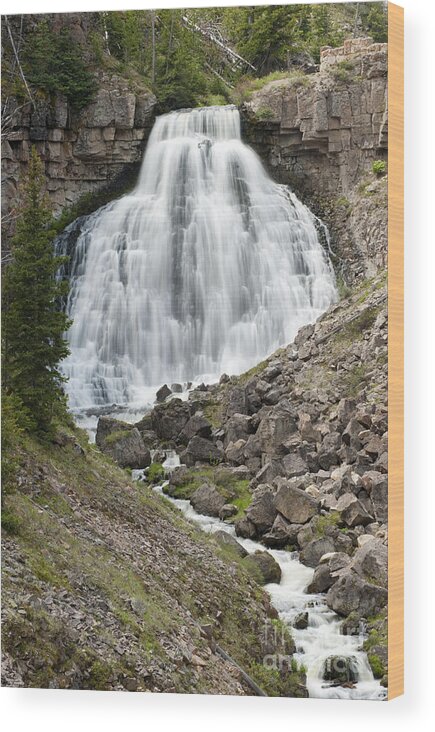 Bronstein Wood Print featuring the photograph Rustic Falls Yellowstone by Sandra Bronstein