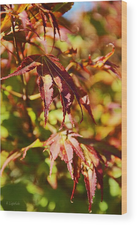 Autumn Wood Print featuring the photograph Shades of Autumn by Kerri Ligatich