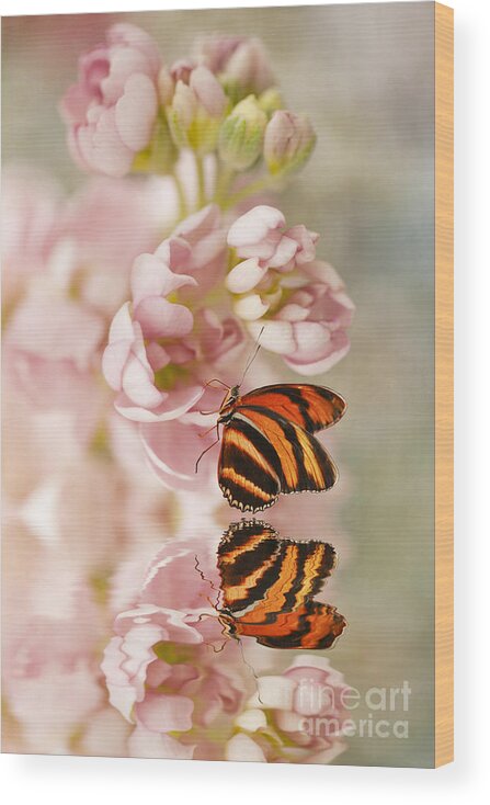 Floral Wood Print featuring the photograph Share the Love by Susan Gary