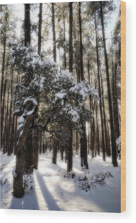 Snow Wood Print featuring the photograph Snow Day by Saija Lehtonen