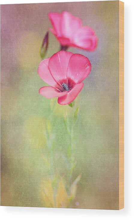Wildflower Wood Print featuring the photograph So Alive by Joel Olives