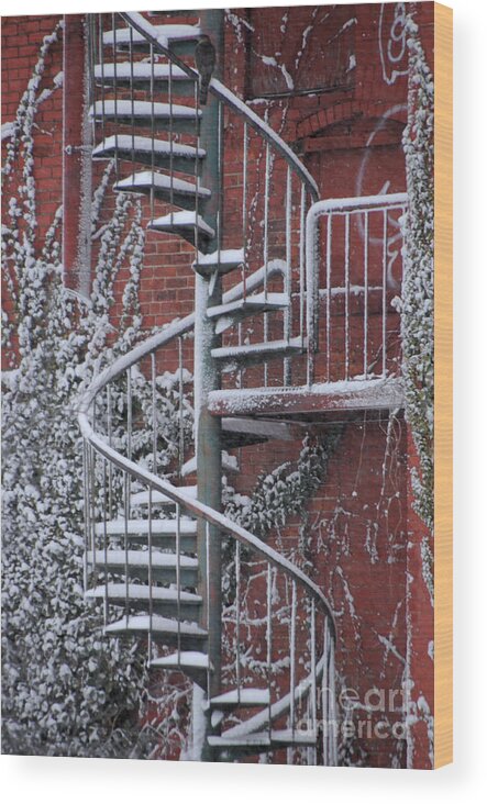 Staircase Wood Print featuring the photograph Spiral Staircase with Snow and Cooper's Hawk by Ronald Grogan