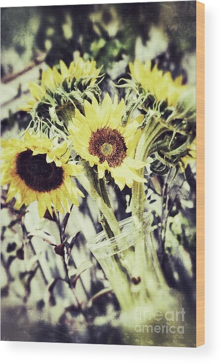 Sunflower Wood Print featuring the photograph Sunflowers 2 by Traci Cottingham