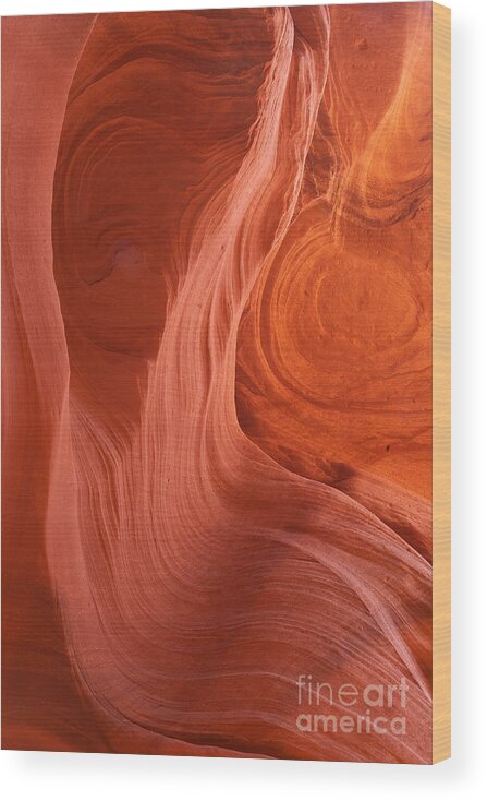 Arizona Wood Print featuring the photograph Swirls by Bob and Nancy Kendrick