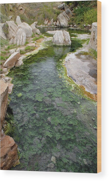 Wood Print featuring the photograph Thermopolis Hot Springs by Geraldine Alexander