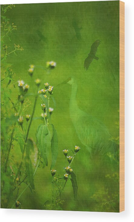 Photography Wood Print featuring the photograph Think Green by Vicki Pelham