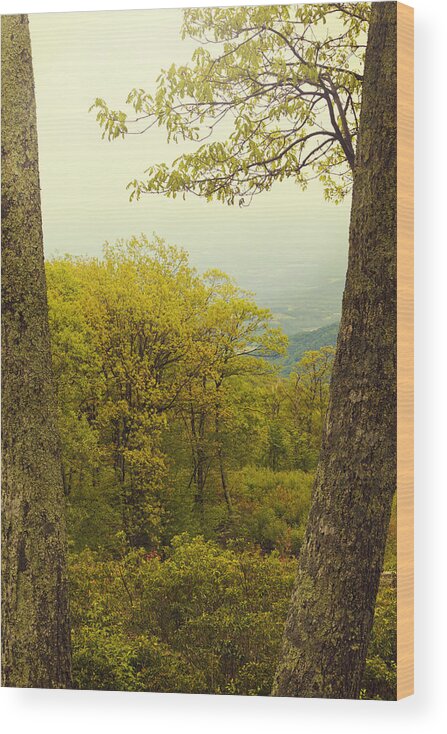 Skyline Drive Wood Print featuring the photograph Top of the World by Shelley Bain