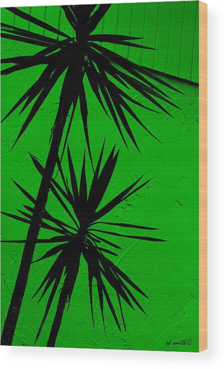 Tropical Splash Wood Print featuring the photograph Tropical Splash by Edward Smith