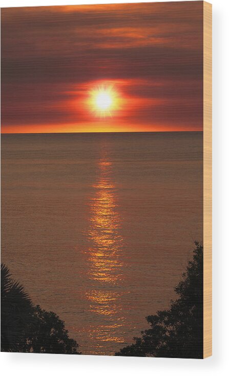Tropical Wood Print featuring the photograph Tropical Sunset V2 by Douglas Barnard