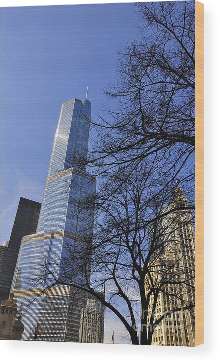 Trump Tower Wood Print featuring the photograph Trough the branches by Dejan Jovanovic