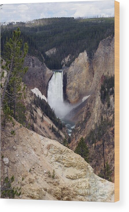 Lower Falls Wood Print featuring the photograph Vertical Lower Falls Of Yellowstone by Living Color Photography Lorraine Lynch