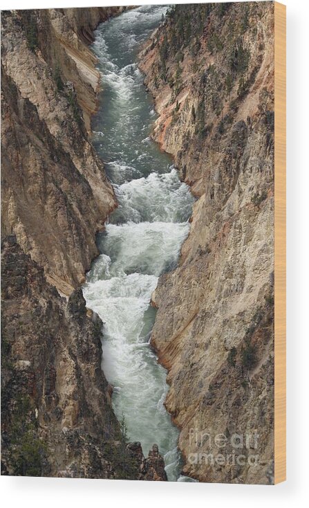 Lower Falls Wood Print featuring the photograph Water and Rock by Living Color Photography Lorraine Lynch