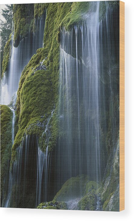 Mp Wood Print featuring the photograph Waterfall and Moss Bavaria by Konrad Wothe