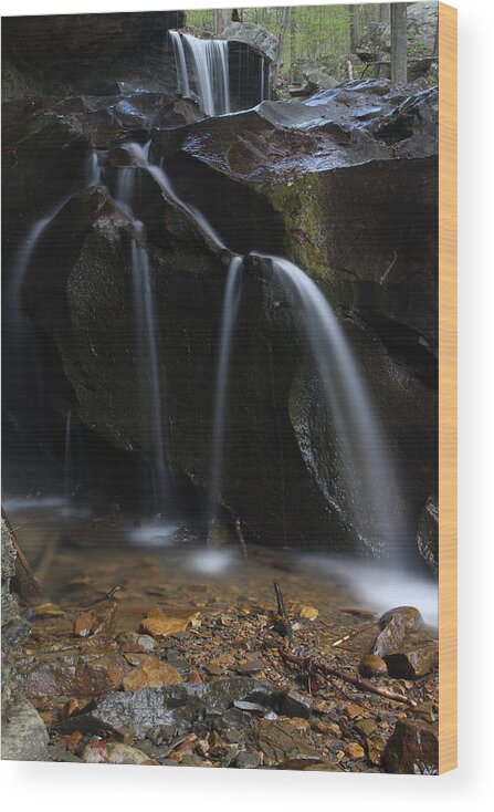 Water Wood Print featuring the photograph Waterfall On Emory Gap Branch by Daniel Reed