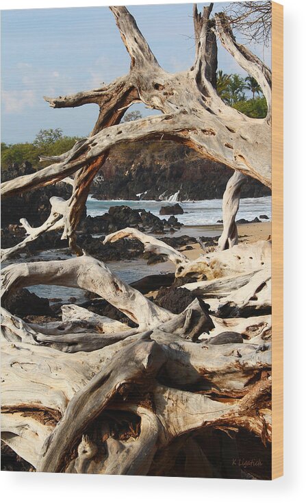 Hawaii Wood Print featuring the photograph Weathered Sculptures by Kerri Ligatich