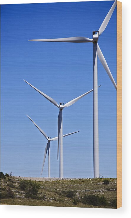 Aerogenerator Wood Print featuring the photograph Wind Farm I by Ricky Barnard
