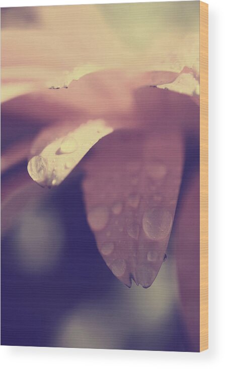 Flowers Wood Print featuring the photograph You Left Me Crying by Laurie Search