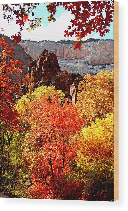 Autumn Wood Print featuring the photograph Autumn in Zion by Patricia Haynes