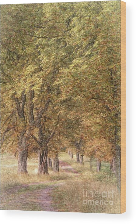 Alsace Wood Print featuring the digital art A walk in the countryside #1 by Howard Ferrier
